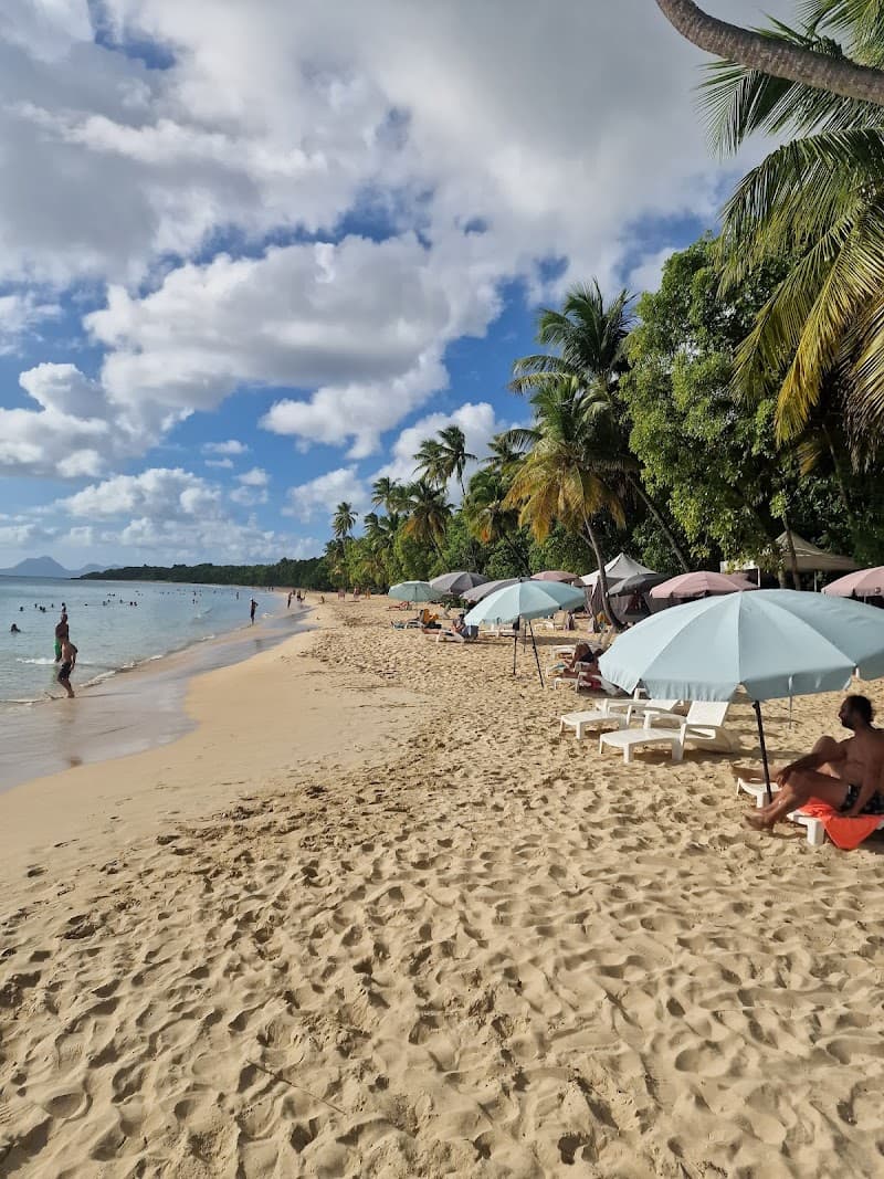Kalonji Tours & Taxi (KT&T)