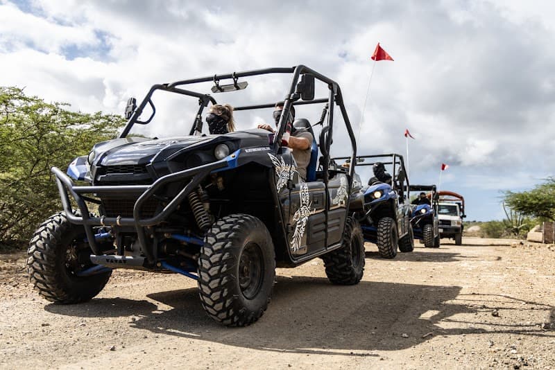 BlueFinn Go West ATV Adventure