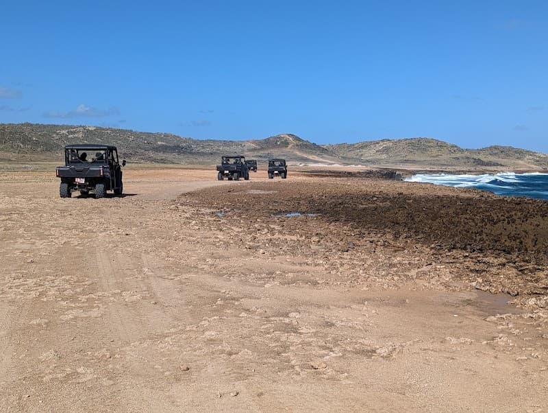 Utv Adventure Tours By Fofoti