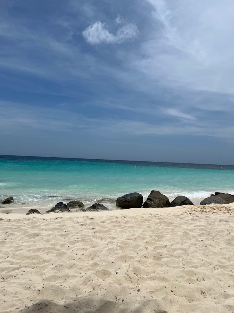 Alpha Tours & Transfers Aruba