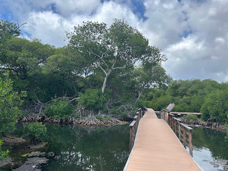 Curaçao Rif Mangrove Park