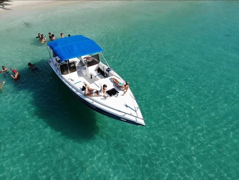 Tic Tac Tours + Charters