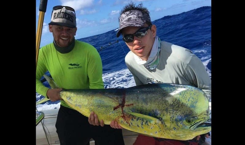 BVI SPORT & ISLAND TOURS - BLUE HORIZON