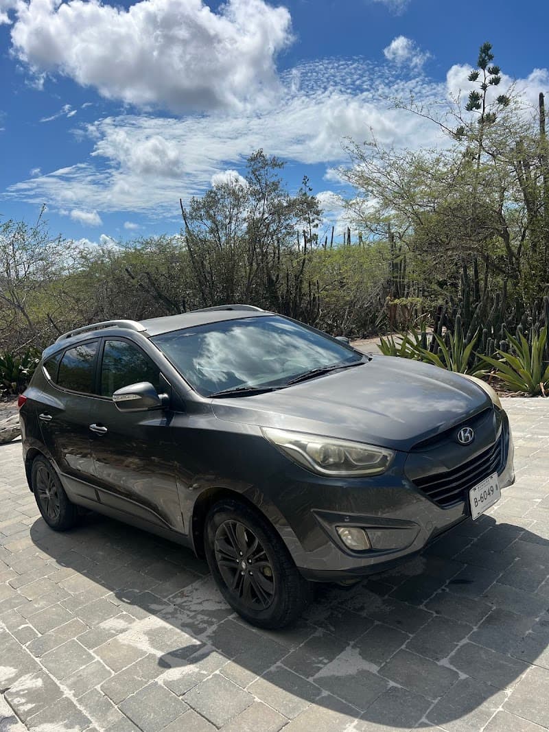 Salty Car Rental Bonaire