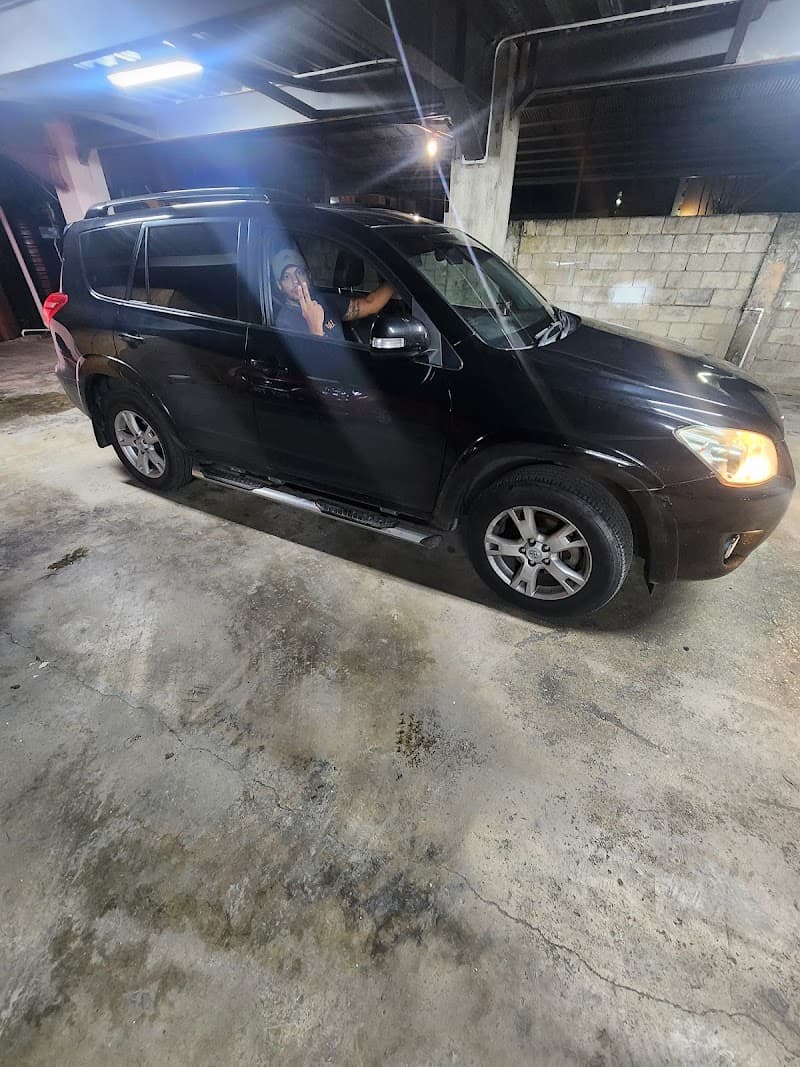 Tigers car rental