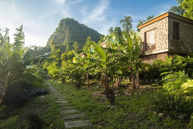 Jungle Bay Dominica