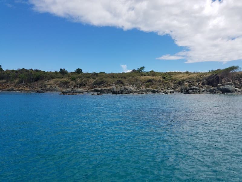 Buck Island Cove
