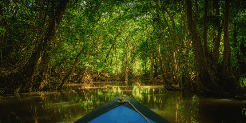 Elvis Nature Tours -Dominica