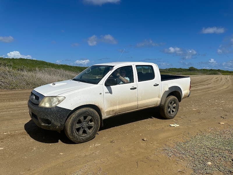 All in Car Rental Bonaire