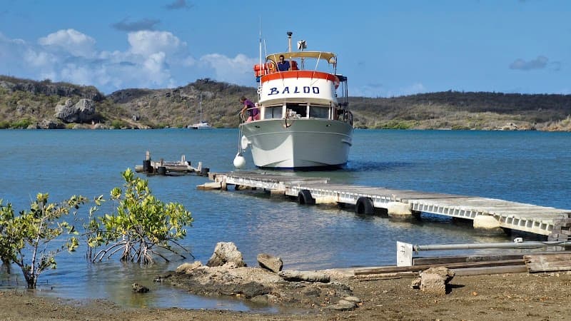 Budget Boat Trips