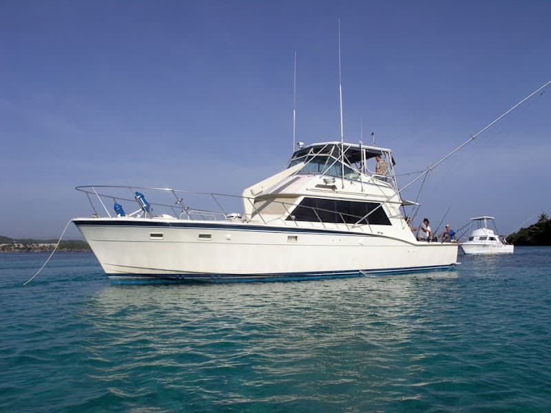 Sosua Game Fishing