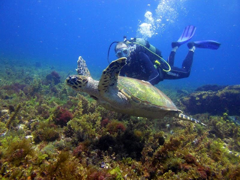 Paradise Diving Martinique