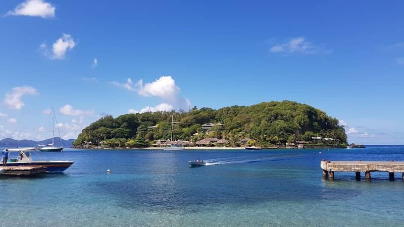 Young Island