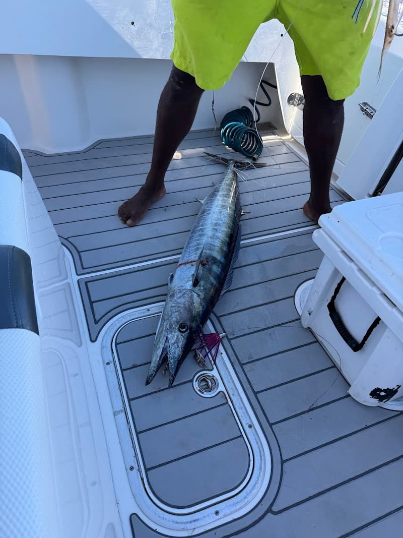 Bad Dog Charters