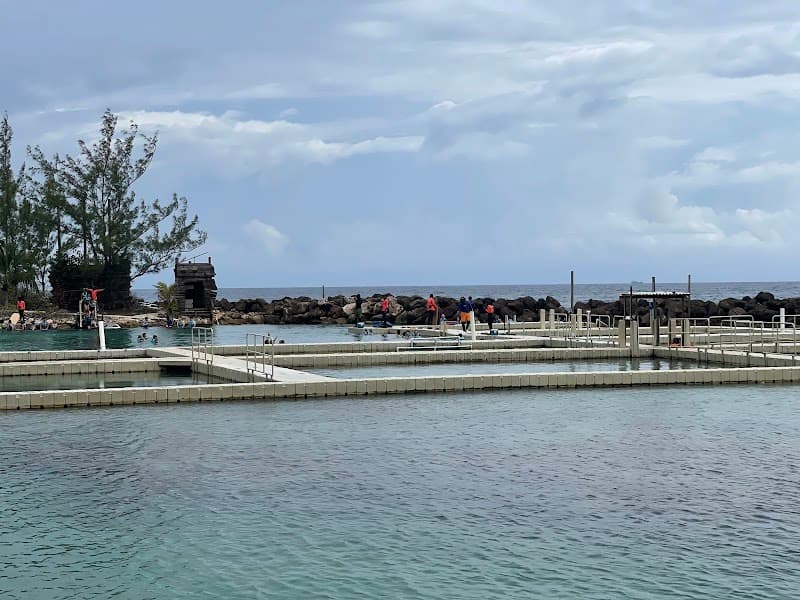 Dolphin Cove Moon Palace Jamaica