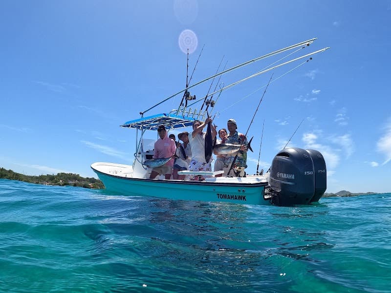 Fish And Stay Rincon PR Charters